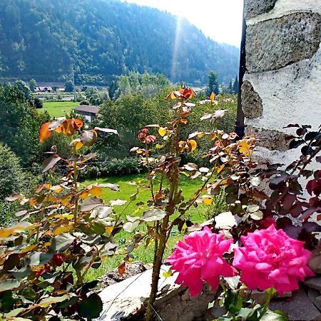 Apartamento Cjasa Da Puci Ovaro Exterior foto
