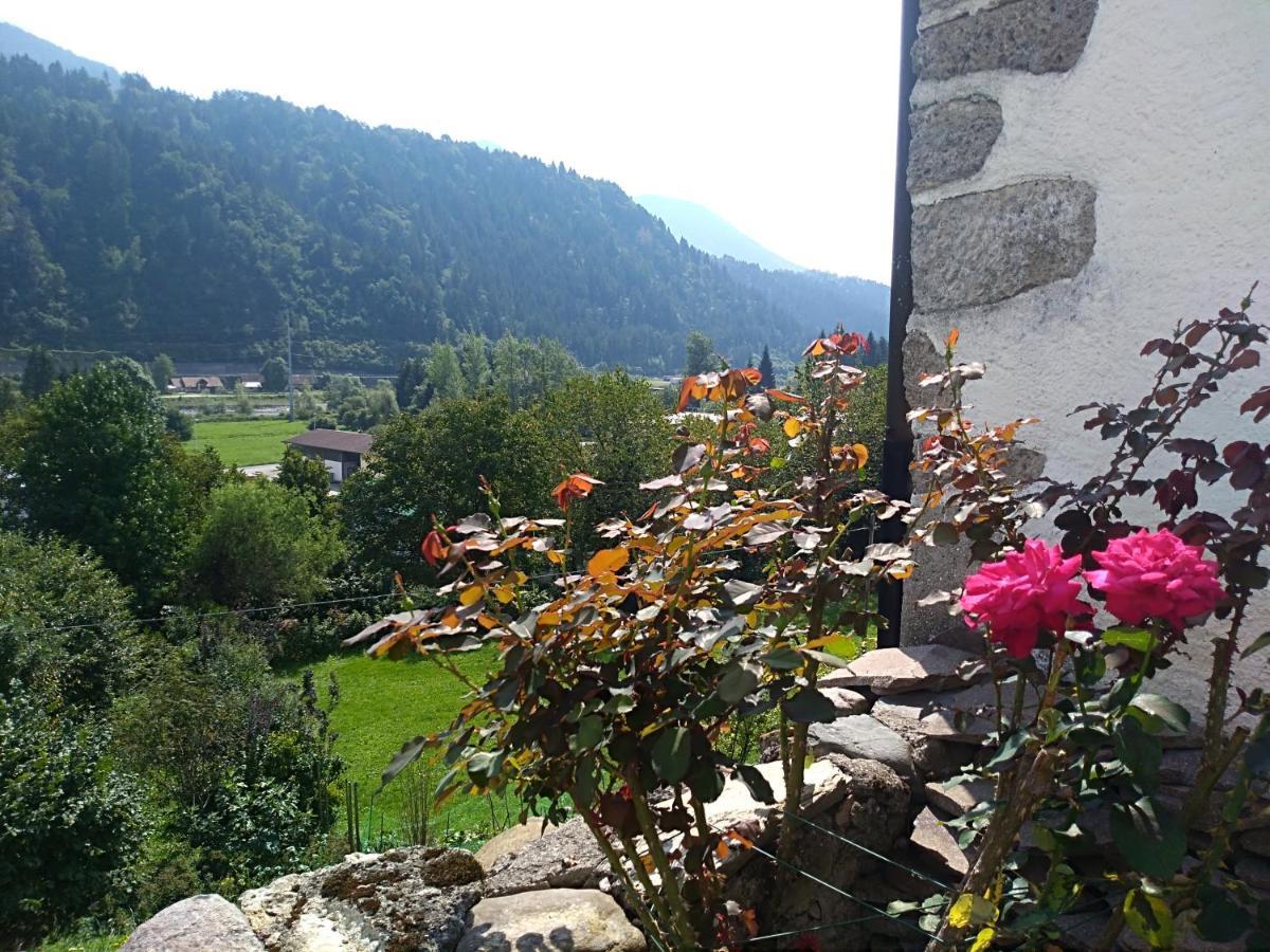 Apartamento Cjasa Da Puci Ovaro Exterior foto