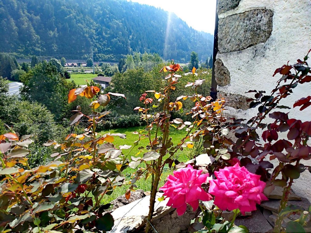 Apartamento Cjasa Da Puci Ovaro Exterior foto