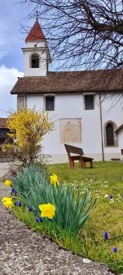 Apartamento Cjasa Da Puci Ovaro Exterior foto