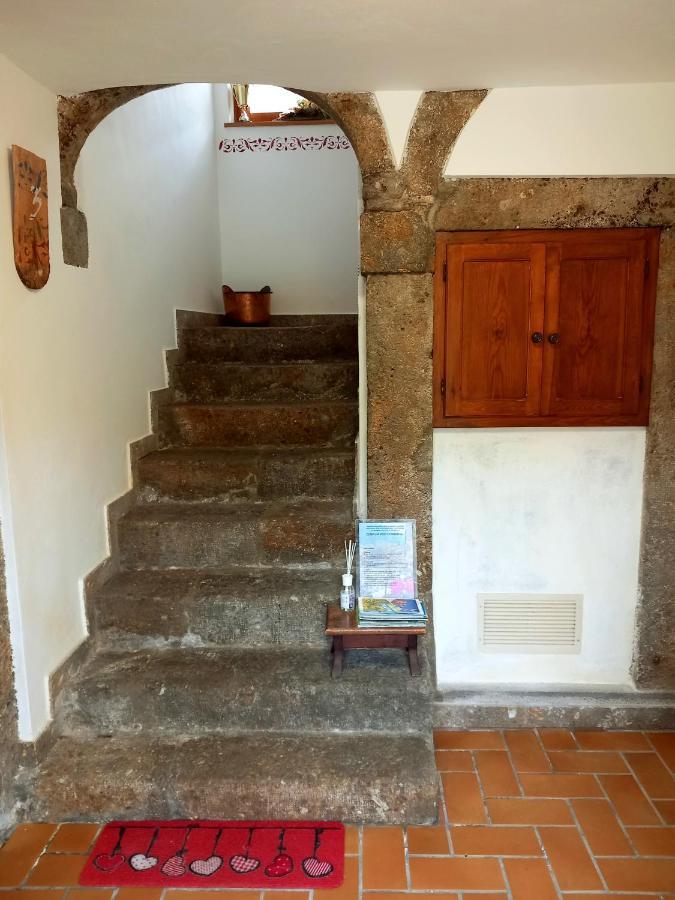 Apartamento Cjasa Da Puci Ovaro Exterior foto