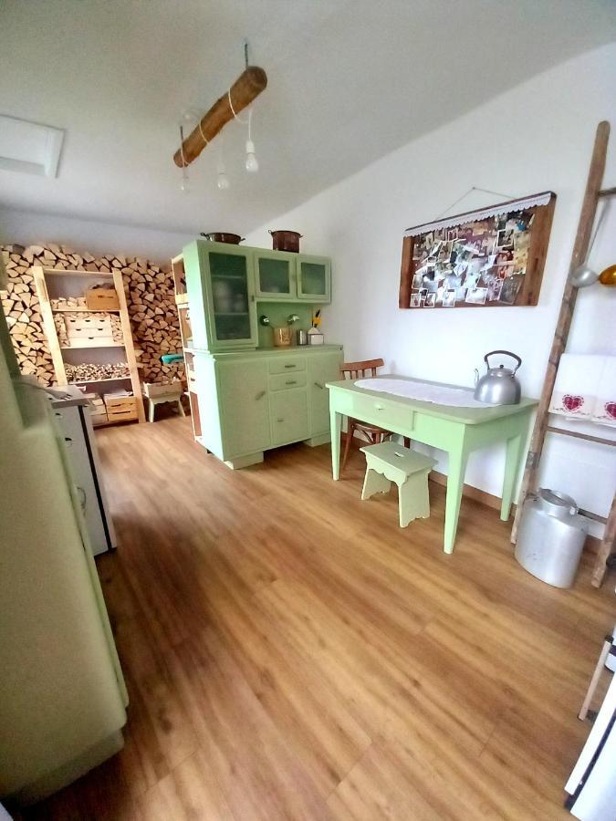 Apartamento Cjasa Da Puci Ovaro Exterior foto